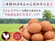 画像7: 三本柱のぷりん〈5個セット〉【うねめもみじたまご・低温殺菌牛乳・オーガニックシュガーを使った安心・安全のぷりん】 (7)